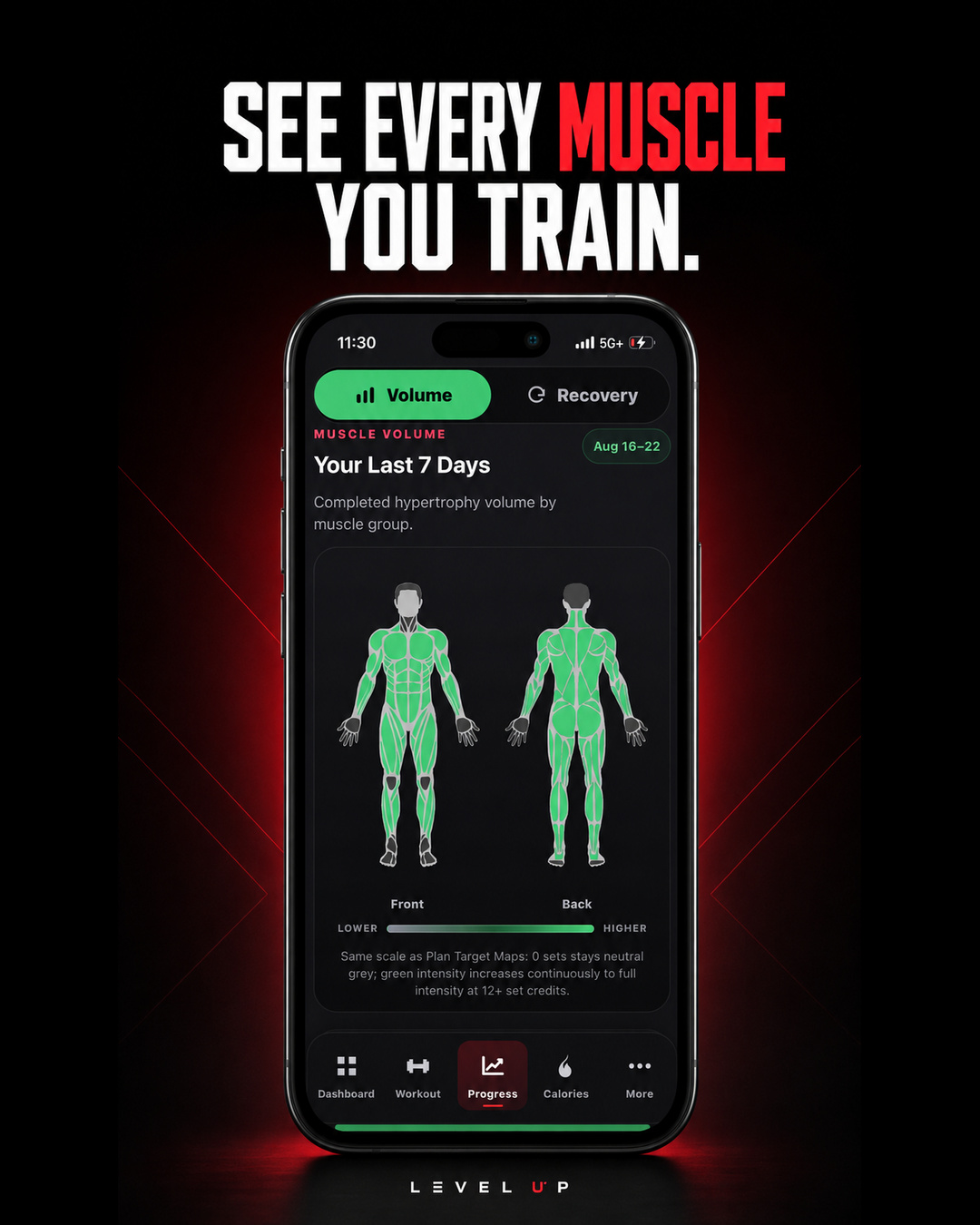 Level Up muscle map showing weekly training volume across the body